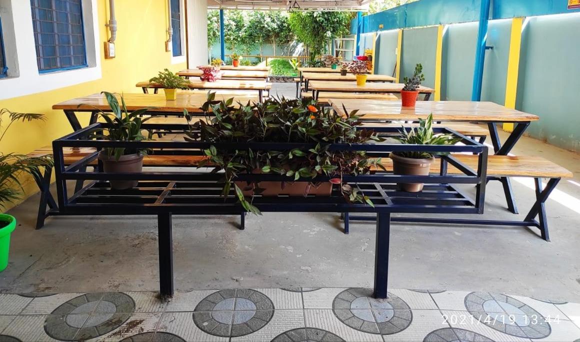 Home In The City Indira Nagar1 Dehradun דהראדון מראה חיצוני תמונה